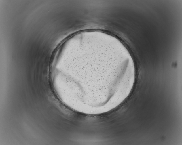 X0000113201220200910081243