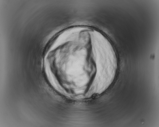 X0000113201221200910081243