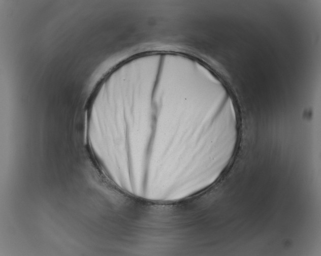 X0000113201223200910081243