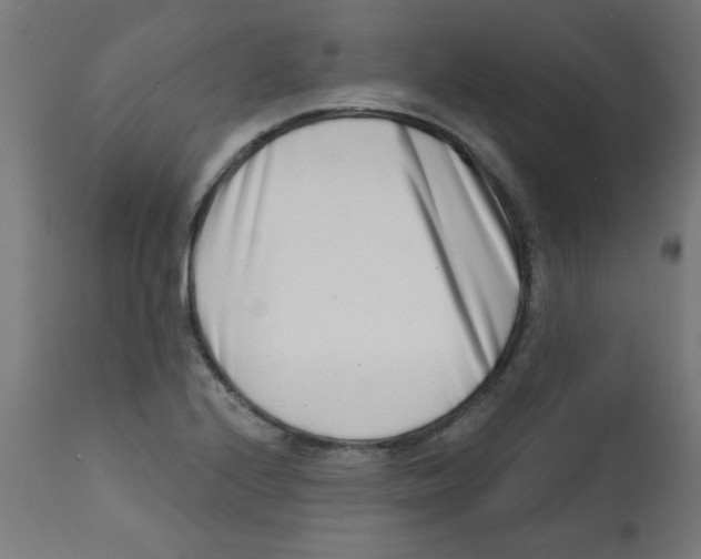 X0000113201224200910081243