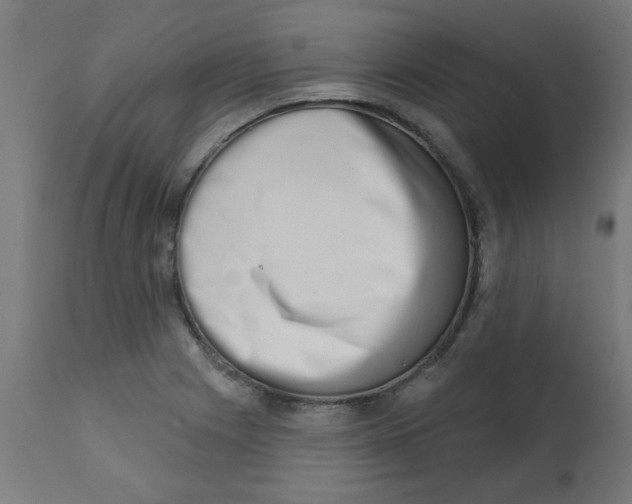 X0000113201225200910081243