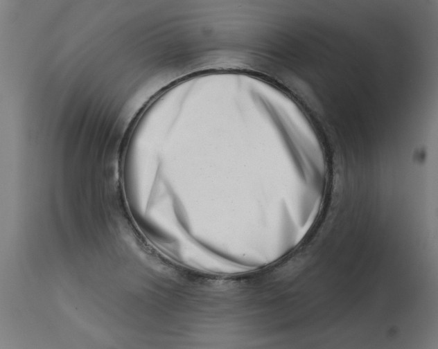 X0000113201226200910081243