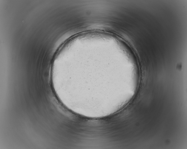 X0000113201227200910081243