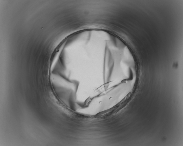 X0000113201228200910081243