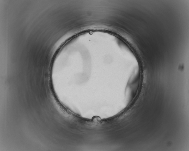 X0000113201229200910081243