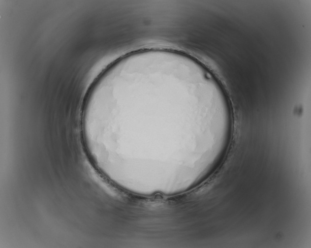 X0000113201231200910081243