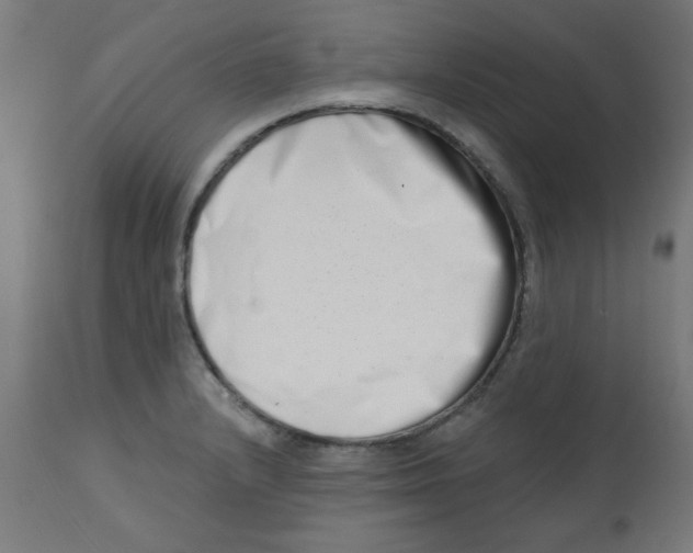 X0000113201232200910081243