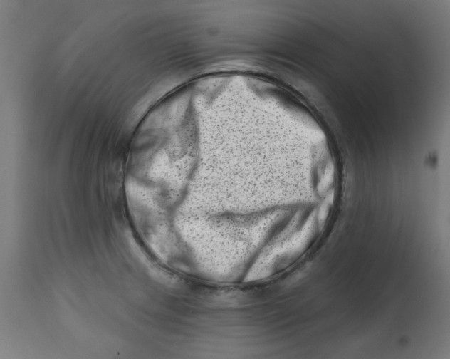 X0000113201233200910081243