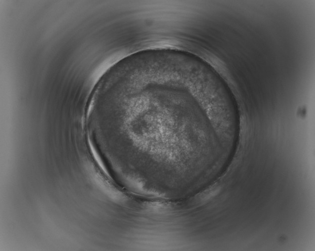 X0000113201234200910081244