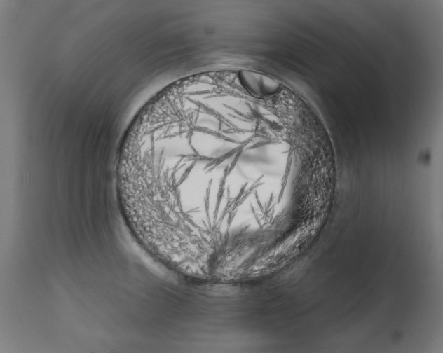 X0000113201235200910081244
