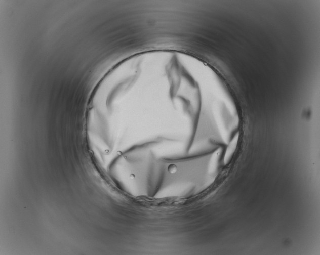 X0000113201236200910081244