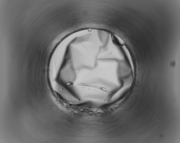 X0000113201237200910081244