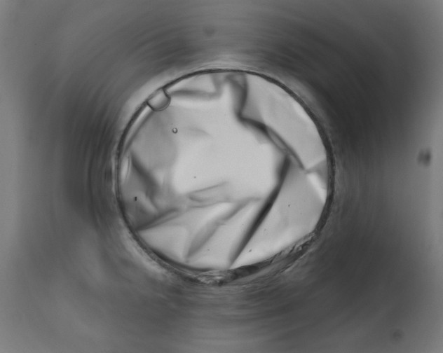 X0000113201238200910081244