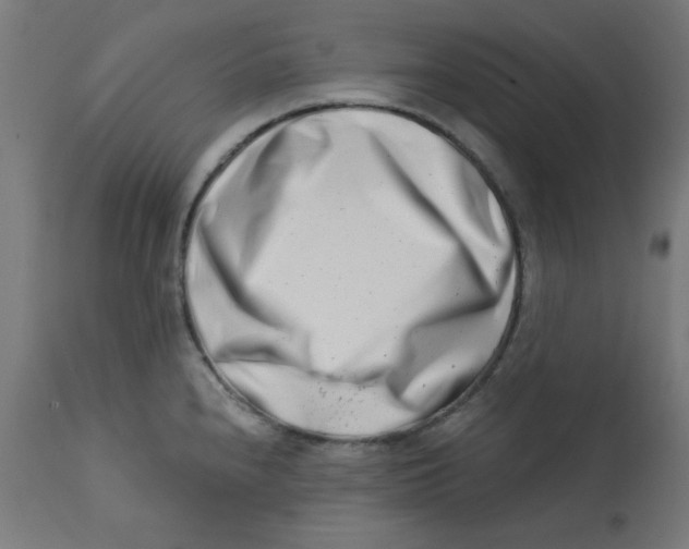 X0000113201240200910081244