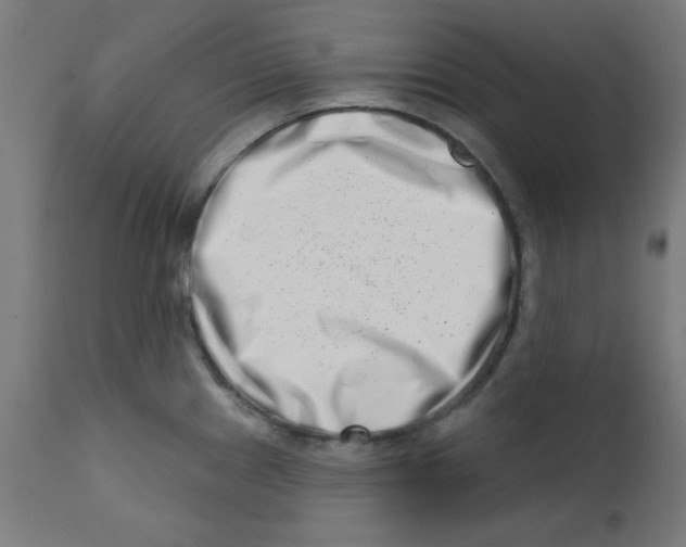 X0000113201241200910081244