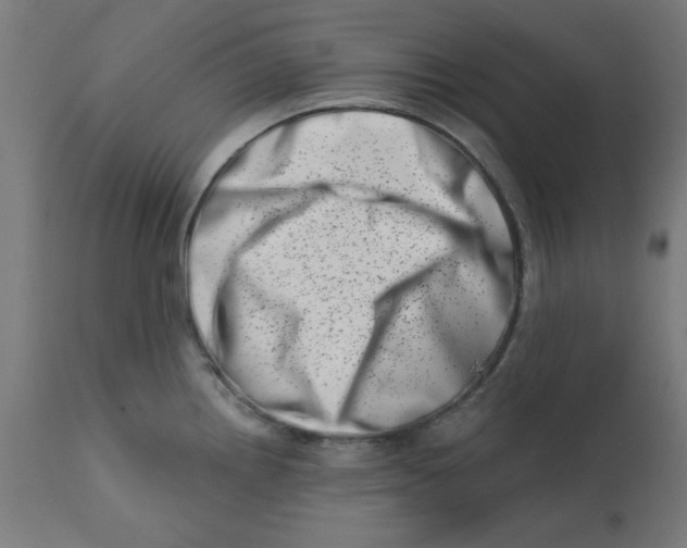 X0000113201242200910081244