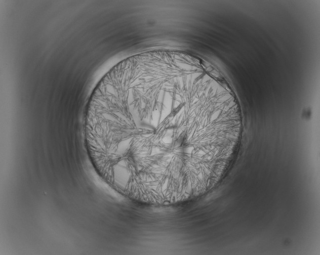 X0000113201243200910081244