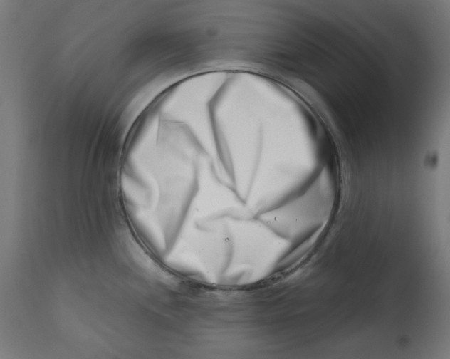 X0000113201244200910081244