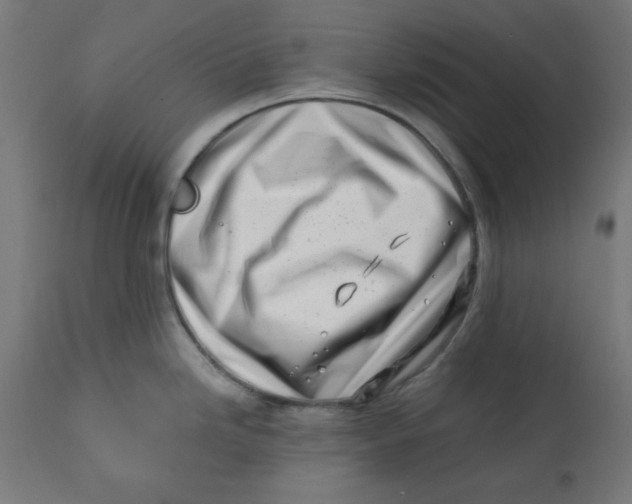 X0000113201246200910081244