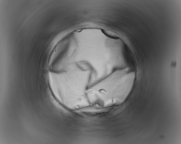 X0000113201247200910081244