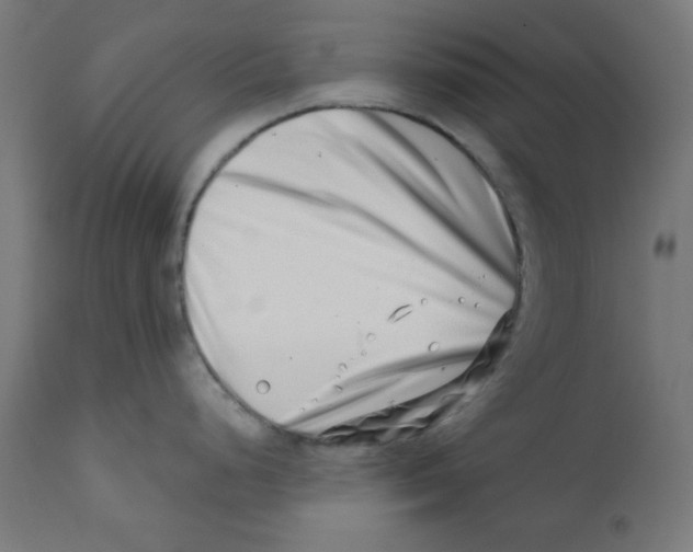 X0000113201248200910081244