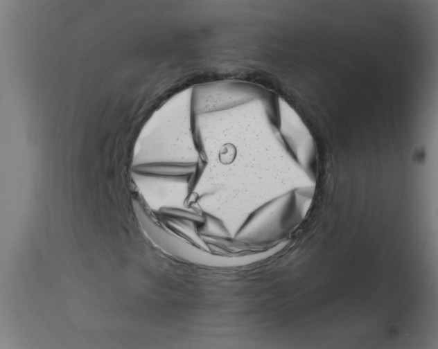 X0000113201249200910081243