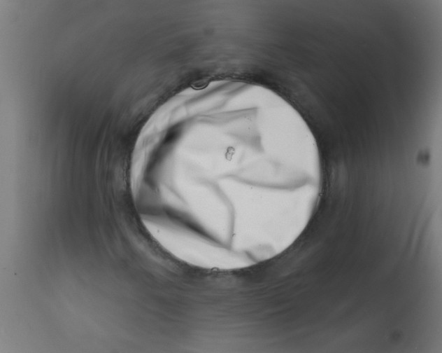 X0000113201250200910081243