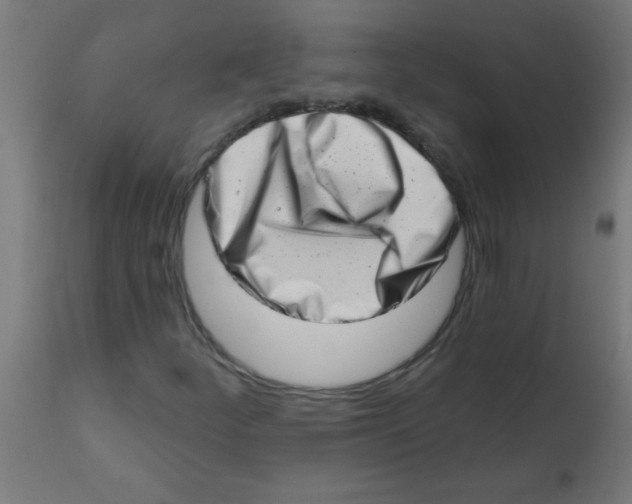 X0000113201252200910081243