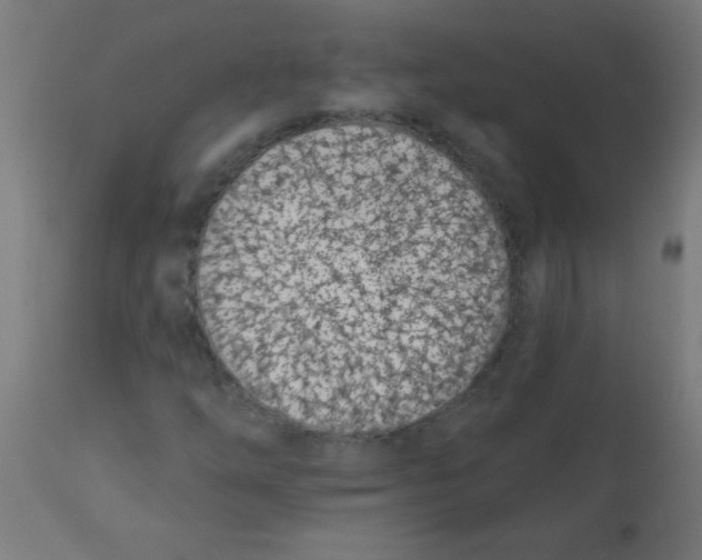 X0000113201254200910081243