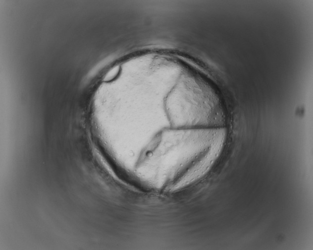 X0000113201255200910081243