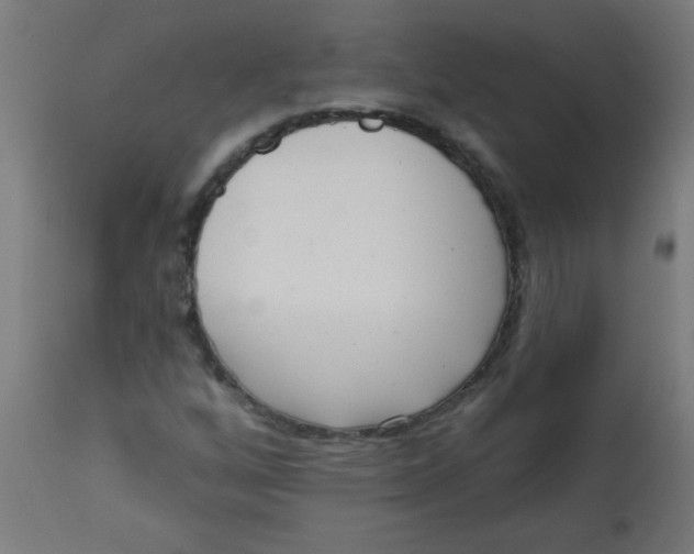 X0000113201256200910081243