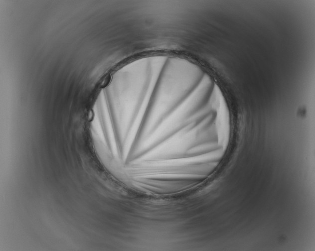 X0000113201257200910081243