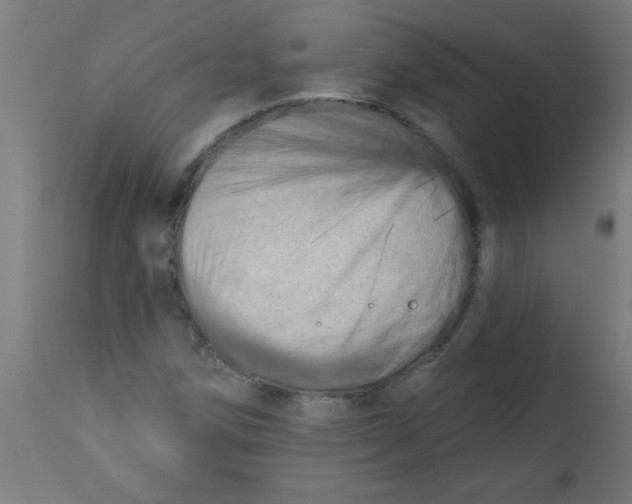 X0000113201258200910081243