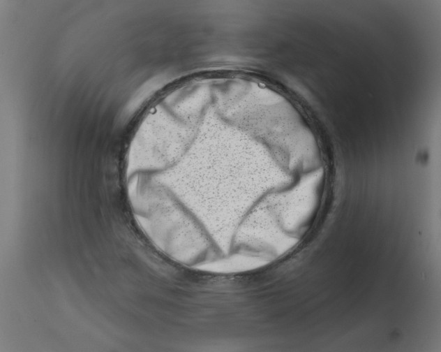 X0000113201259200910081243