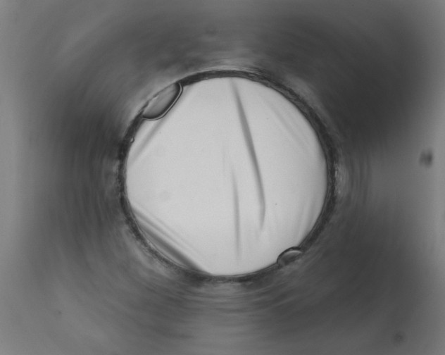 X0000113201260200910081243