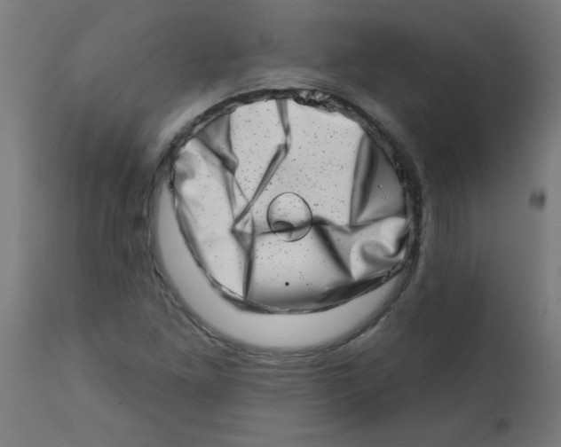 X0000113201261200910081243