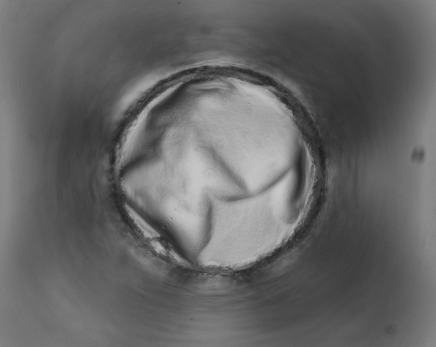 X0000113201263200910081243