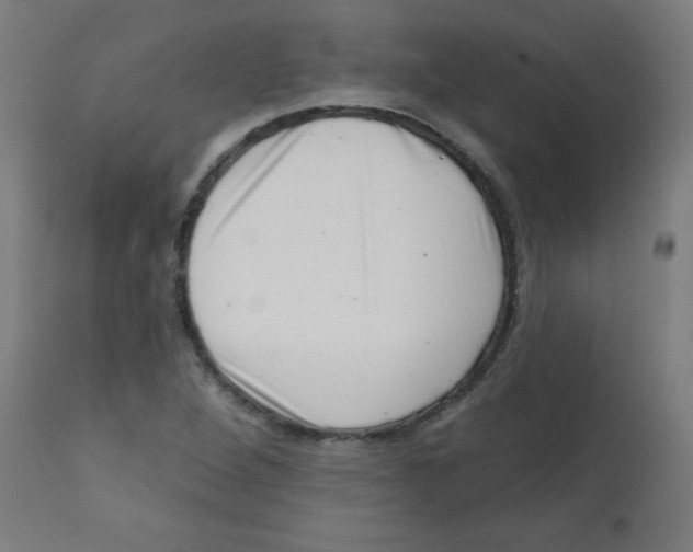 X0000113201264200910081243