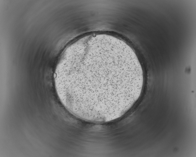 X0000113201265200910081243