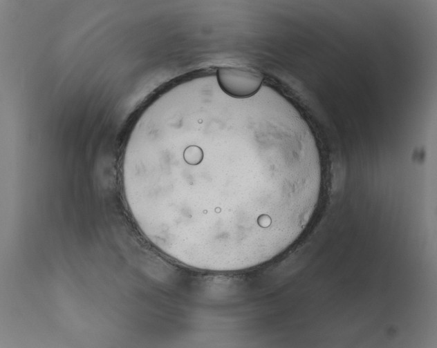 X0000113201266200910081243