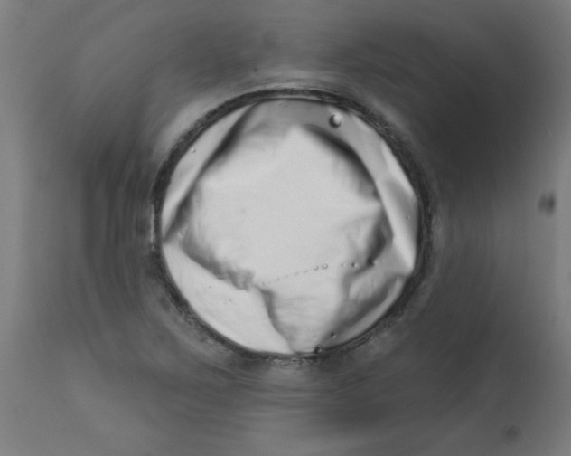 X0000113201267200910081243