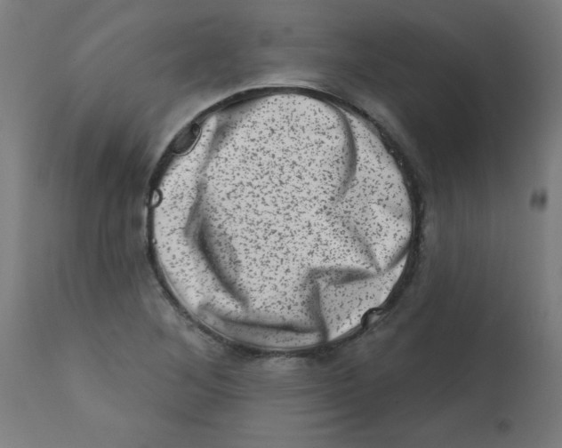 X0000113201268200910081243