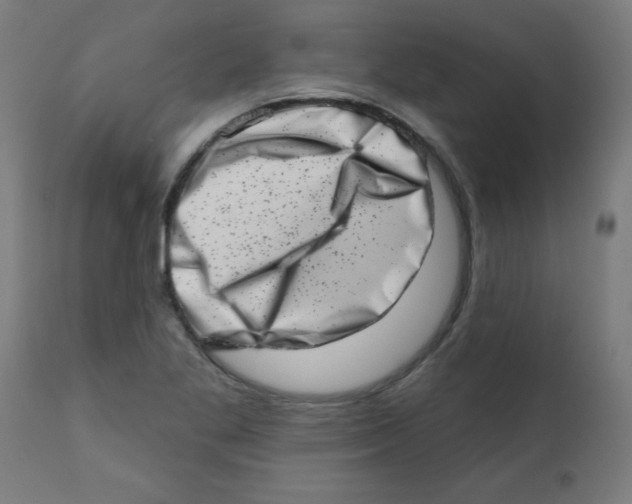 X0000113201269200910081243