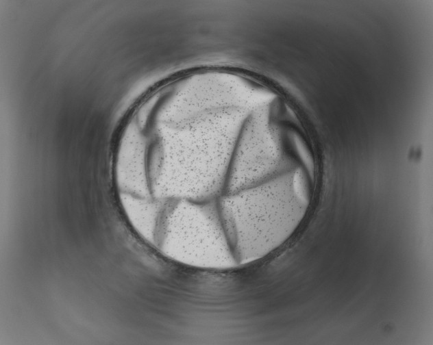 X0000113201270200910081243