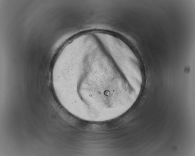 X0000113201271200910081243