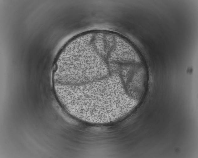 X0000113201272200910081243