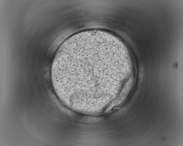 X0000113201273200910081243