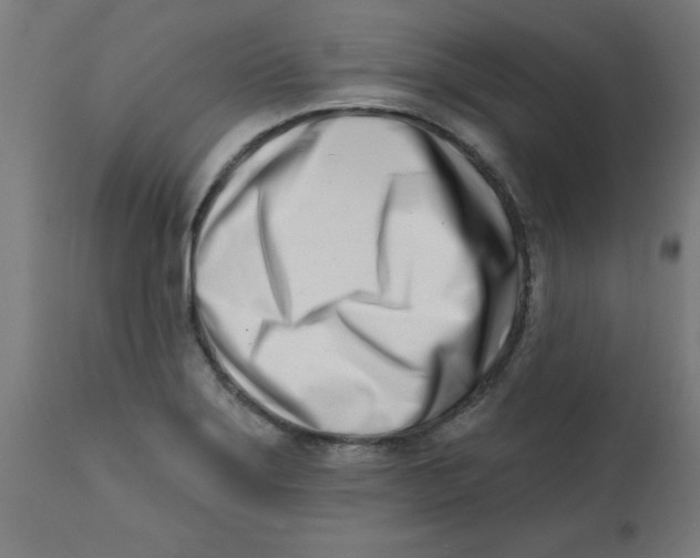 X0000113201275200910081243