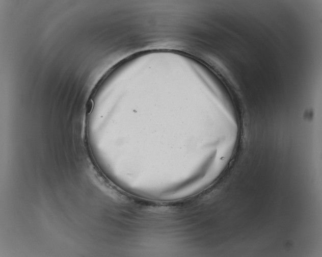 X0000113201276200910081243