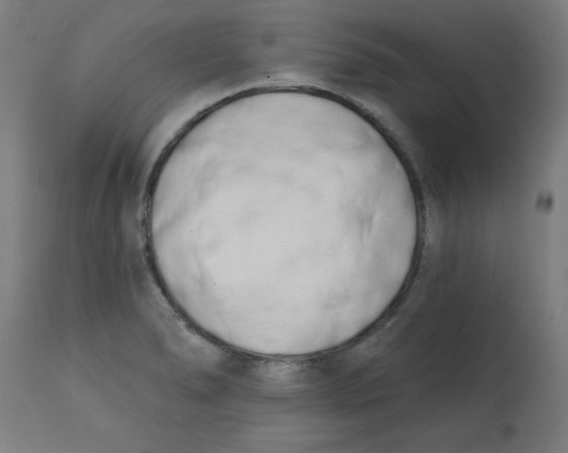 X0000113201278200910081242